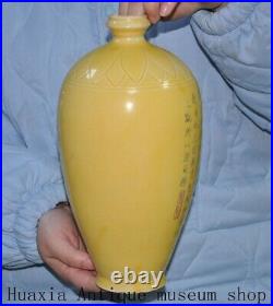 11Collect Song Dynasty Yellow glaze porcelain Crane Inscription Zun Bottle Vase