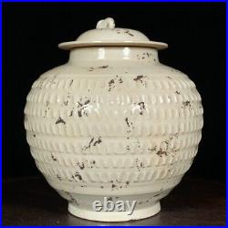 A Fine Collection of Chinese Antique Song Dynasty Ding Kiln Porcelain Pots