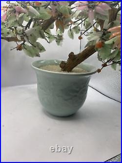 Antique Chinese Money Jade Tree in celadon porcelain pot 20 inW