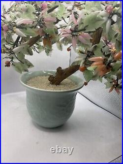 Antique Chinese Money Jade Tree in celadon porcelain pot 20 inW