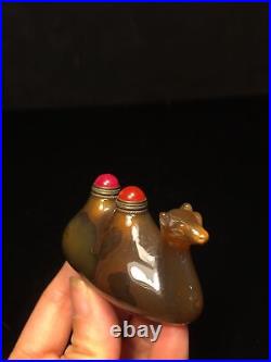 Collection Chinese Antique Agate Carved Exquisite Camel Statue Snuff Bottle Rare